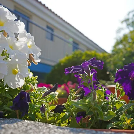 Apart-hotel Green Bungalows Hotel Apartments